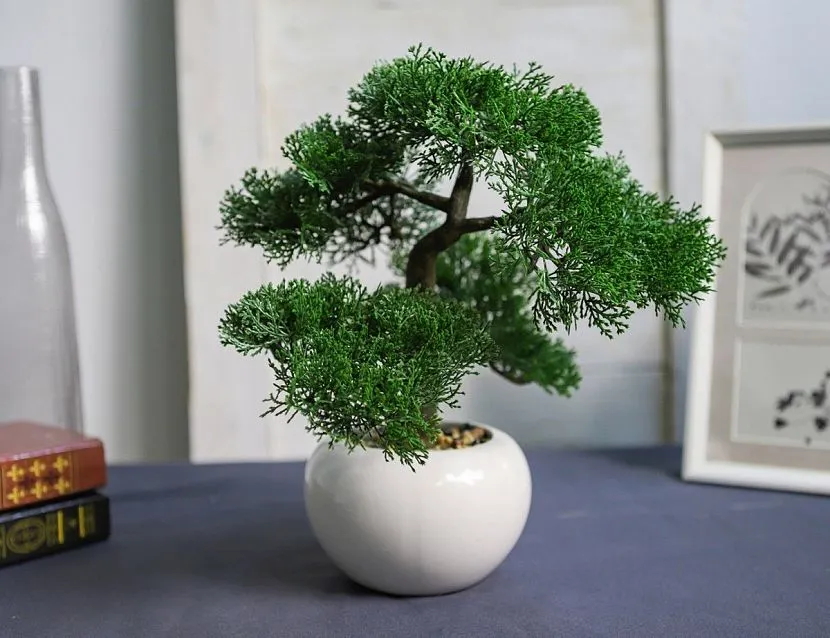 Декоративные деревья своими руками: идеи и мастер-классы Декоративные деревья своими руками: идеи и мастер-классы