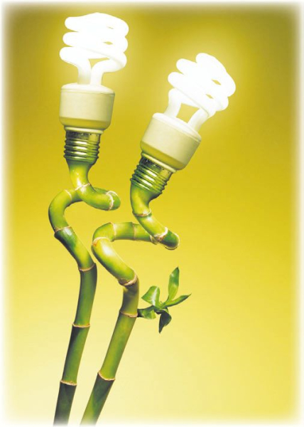 Виды электрических ламп Виды электрических ламп