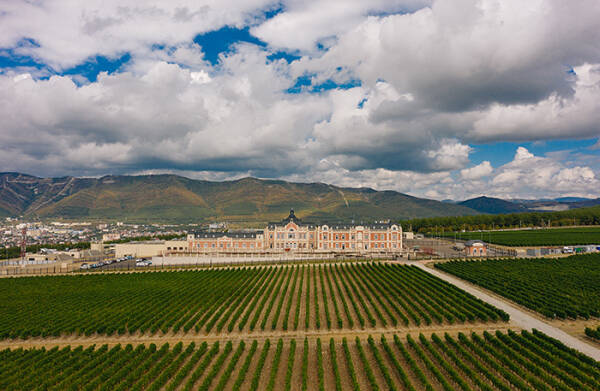 Туристическая инфраструктура: готовы ли виноделы к роли отельеров Туристическая инфраструктура: готовы ли виноделы к роли отельеров