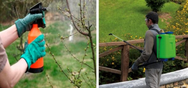Опрыскиватели для сада и огорода, виды, правила выбора Опрыскиватели для сада и огорода, виды, правила выбора