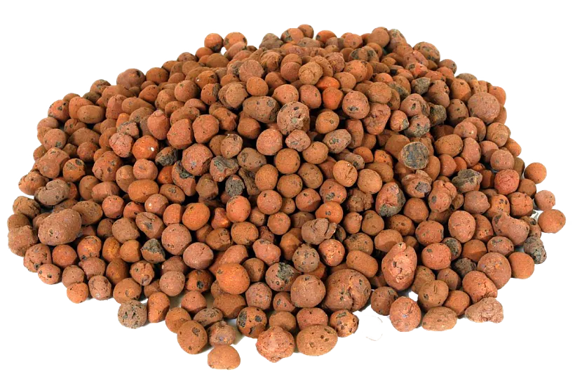 Подбираем грунт для антуриума: основные требования и подходящие варианты Подбираем грунт для антуриума: основные требования и подходящие варианты