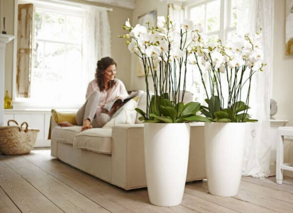 Искусственные цветы в интерьере дома – 6 советов по выбору и декору Искусственные цветы в интерьере дома – 6 советов по выбору и декору