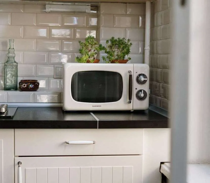 Самая маленькая микроволновая печь: особенности и разновидности компактной бытовой техники Самая маленькая микроволновая печь: особенности и разновидности компактной бытовой техники