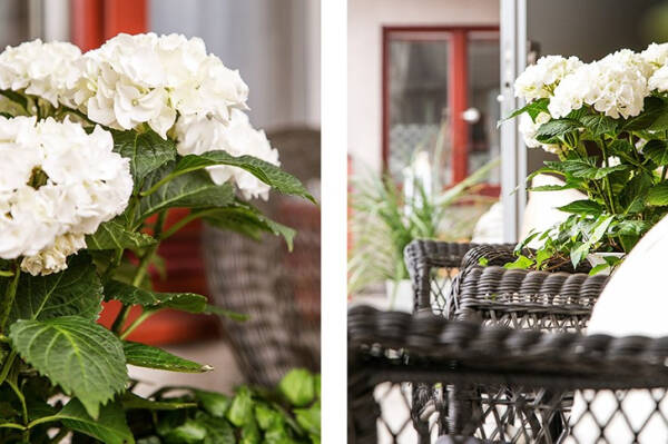 Скандинавский шик в квартире в Гётеборге