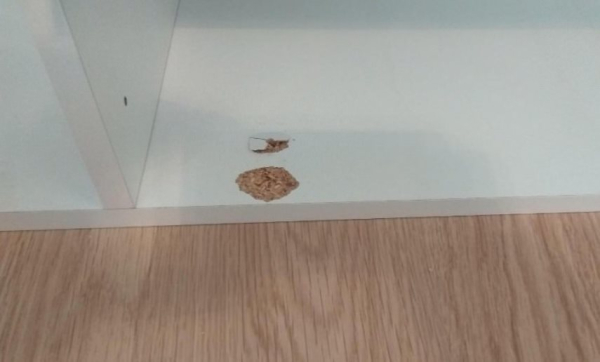 ДСП: как восстановить поврежденный угол плиты ДСП: как восстановить поврежденный угол плиты