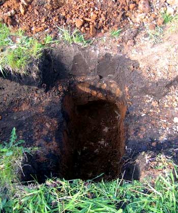 Автоматические распашные ворота Автоматические распашные ворота