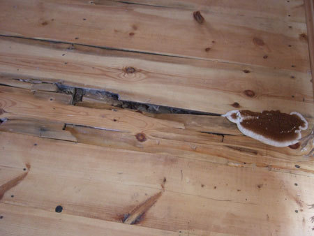 Что делать, когда скрипят полы в квартире &ndash; 10 проверенных методов