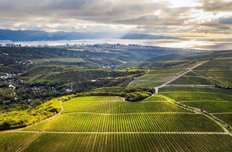 Туристическая инфраструктура: готовы ли виноделы к роли отельеров Туристическая инфраструктура: готовы ли виноделы к роли отельеров