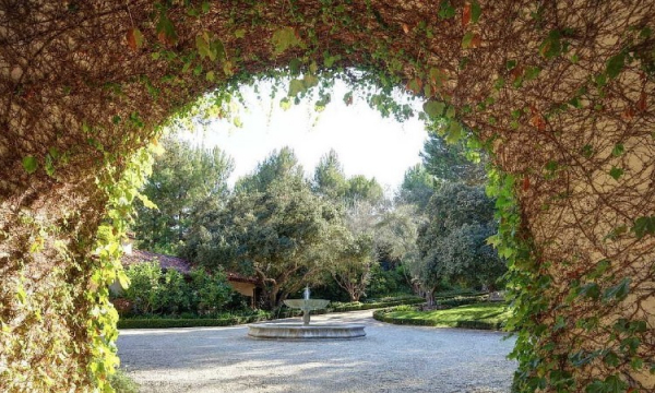 Дом Дуэйна Джонсона: как живет главный герой фильма «Царь скорпионов» Дом Дуэйна Джонсона: как живет главный герой фильма «Царь скорпионов»