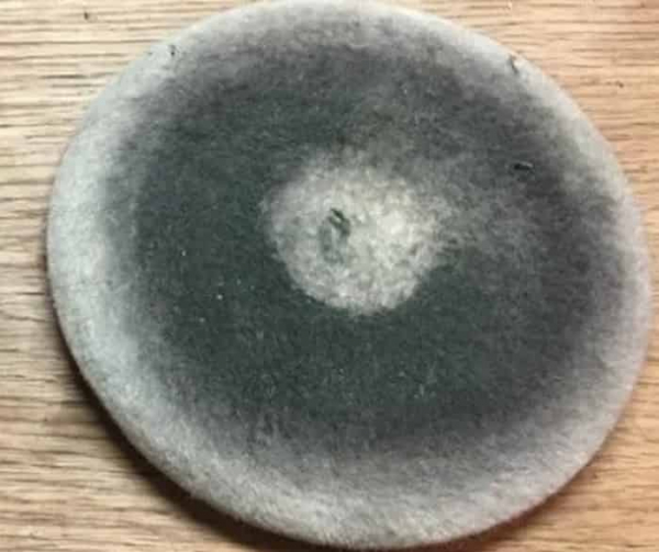 Какие бывают круги на эксцентриковую шлифовальную машинку Какие бывают круги на эксцентриковую шлифовальную машинку