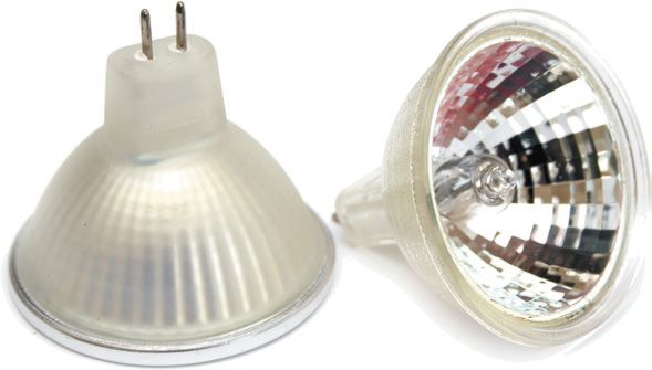 Виды электрических ламп Виды электрических ламп