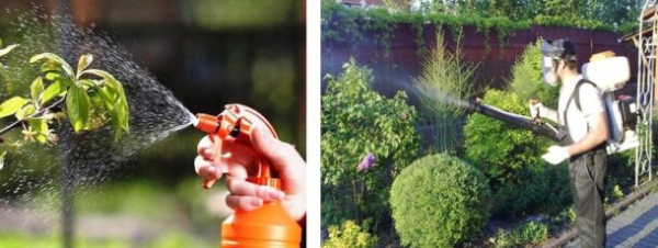 Опрыскиватели для сада и огорода, виды, правила выбора Опрыскиватели для сада и огорода, виды, правила выбора