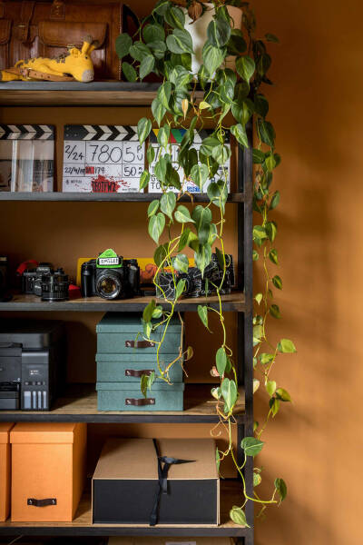 Цветные комнаты и старинные детали: смелый дизайн викторианского дома в Лондоне Цветные комнаты и старинные детали: смелый дизайн викторианского дома в Лондоне