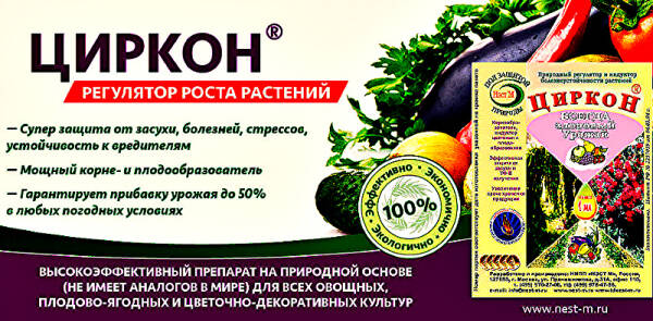 Подборка огородных хитростей: от выращивания рассады до уборки Подборка огородных хитростей: от выращивания рассады до уборки