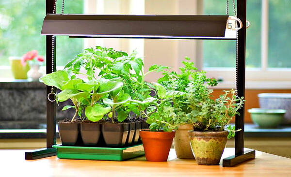 Подборка огородных хитростей: от выращивания рассады до уборки Подборка огородных хитростей: от выращивания рассады до уборки