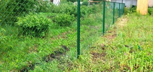 Виды заборов для палисадника Виды заборов для палисадника