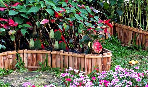 Пластиковые ограждения для грядок