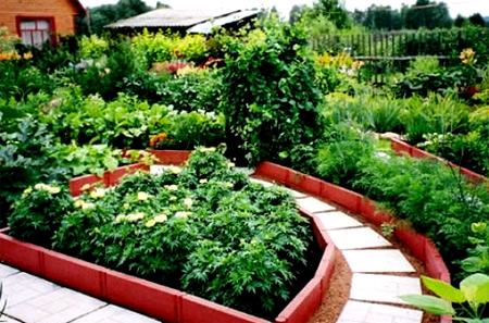 Пластиковые ограждения для грядок