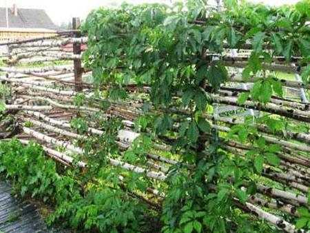 Различные типы и стили заборов Различные типы и стили заборов