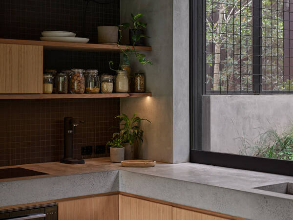 Человек и природа под одной крышей: дом в Брисбене Человек и природа под одной крышей: дом в Брисбене