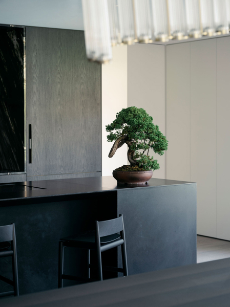 Натуральный камень и чёрные акценты: стильные апартаменты с садом в Сиднее Натуральный камень и чёрные акценты: стильные апартаменты с садом в Сиднее