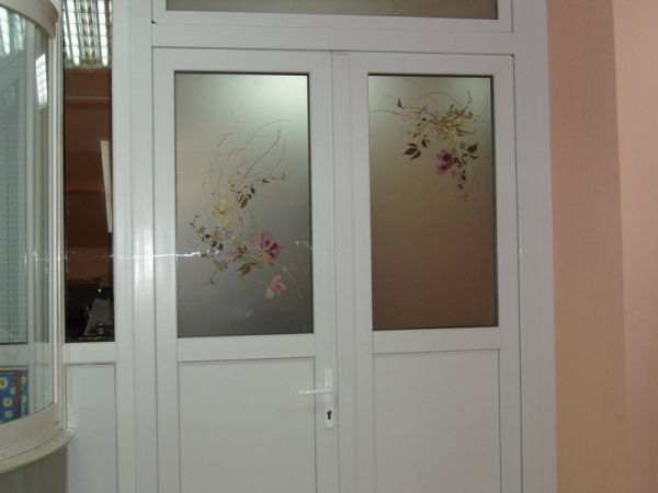 Конструктивные особенности входных металлопластиковых дверей для частного дома Конструктивные особенности входных металлопластиковых дверей для частного дома