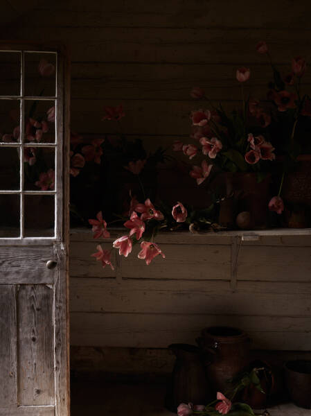 Ещё больше ярких и смелых интерьеров от Olivia Gregory