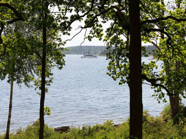 Оттенки синего и современное искусство: просторная квартира в Швеции с видом на озеро Оттенки синего и современное искусство: просторная квартира в Швеции с видом на озеро