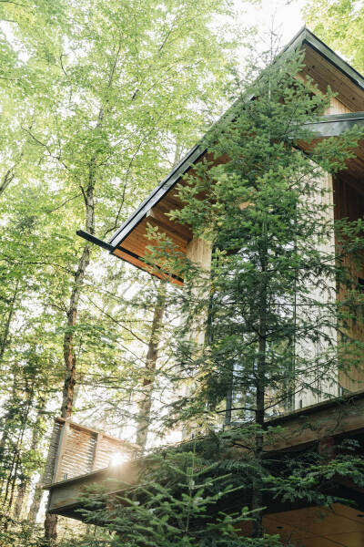 Реализовать детскую мечту: домик на дереве в Канаде