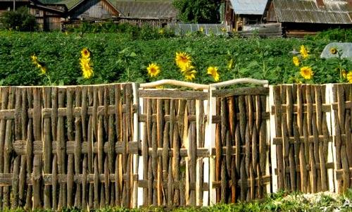 Дешевые недорогие заборы Дешевые недорогие заборы