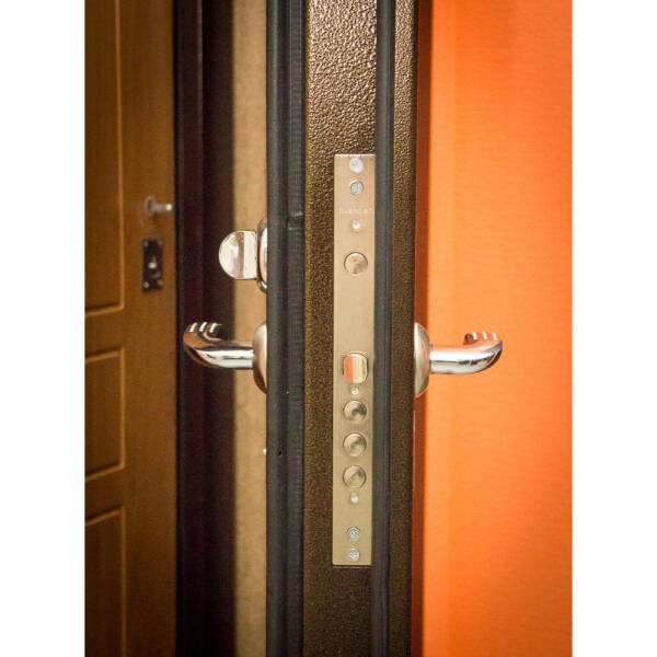 Каким требованиям должны отвечать уличные двери, предназначенные для загородного дома Каким требованиям должны отвечать уличные двери, предназначенные для загородного дома