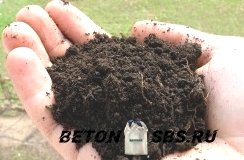 Устройство ленточного фундамента на пучинистых грунтах Устройство ленточного фундамента на пучинистых грунтах