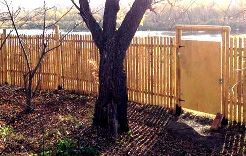 Установка забора из березовых карандашей Установка забора из березовых карандашей
