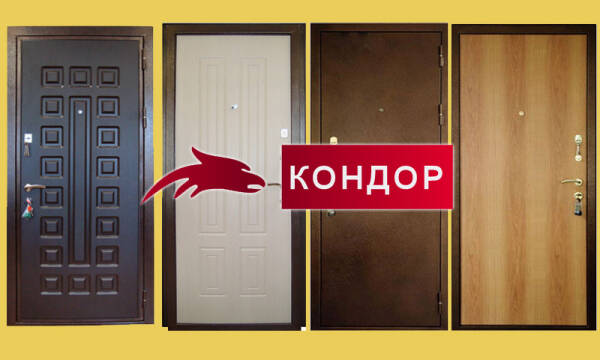 Разновидности входных железных дверей