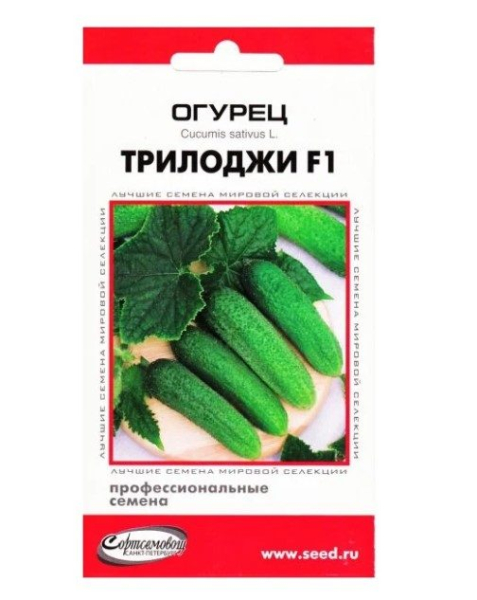 ТОП-35 сортов огурцов для открытого грунта 2023 года &ndash; фото с описанием