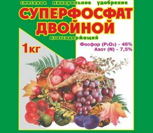 Живая изгородь из спиреи Живая изгородь из спиреи