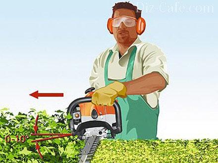 Как сделать декоративный забор из кустарника Как сделать декоративный забор из кустарника