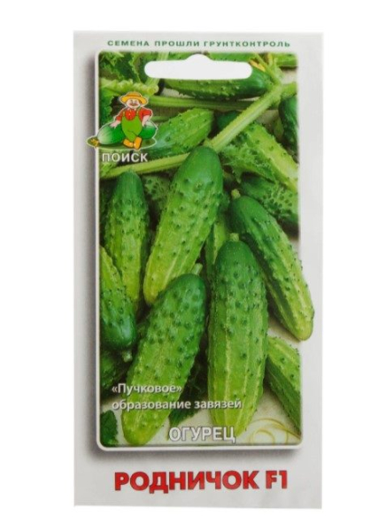 ТОП-35 сортов огурцов для открытого грунта 2023 года &ndash; фото с описанием