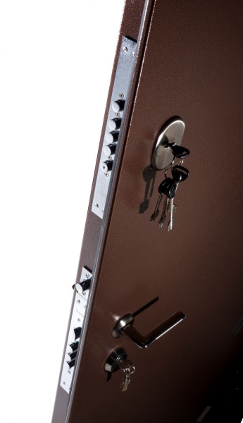 Нестандартное решение: особенности двухстворчатых входных дверей Нестандартное решение: особенности двухстворчатых входных дверей