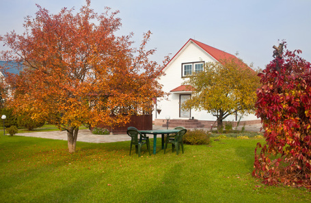 Садовое искусство: запрос на естественную красоту, функциональный минимализм и малоуходность Садовое искусство: запрос на естественную красоту, функциональный минимализм и малоуходность