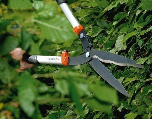 Ножницы для живой изгороди Ножницы для живой изгороди